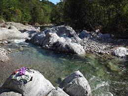 baignade
