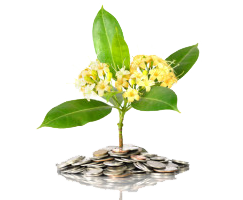 financement participatif